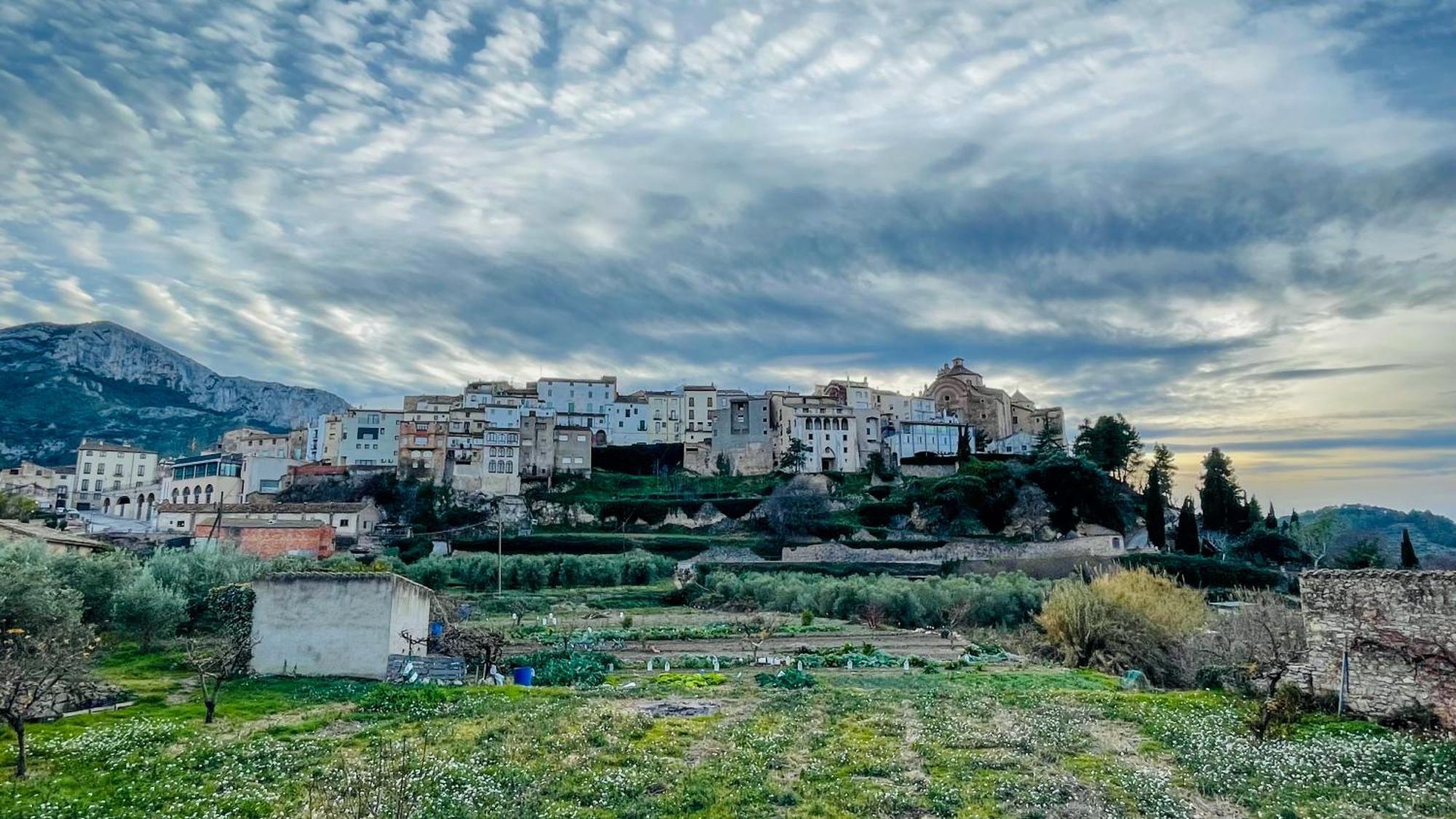 Apartament Rural Monetze Tivissa Εξωτερικό φωτογραφία