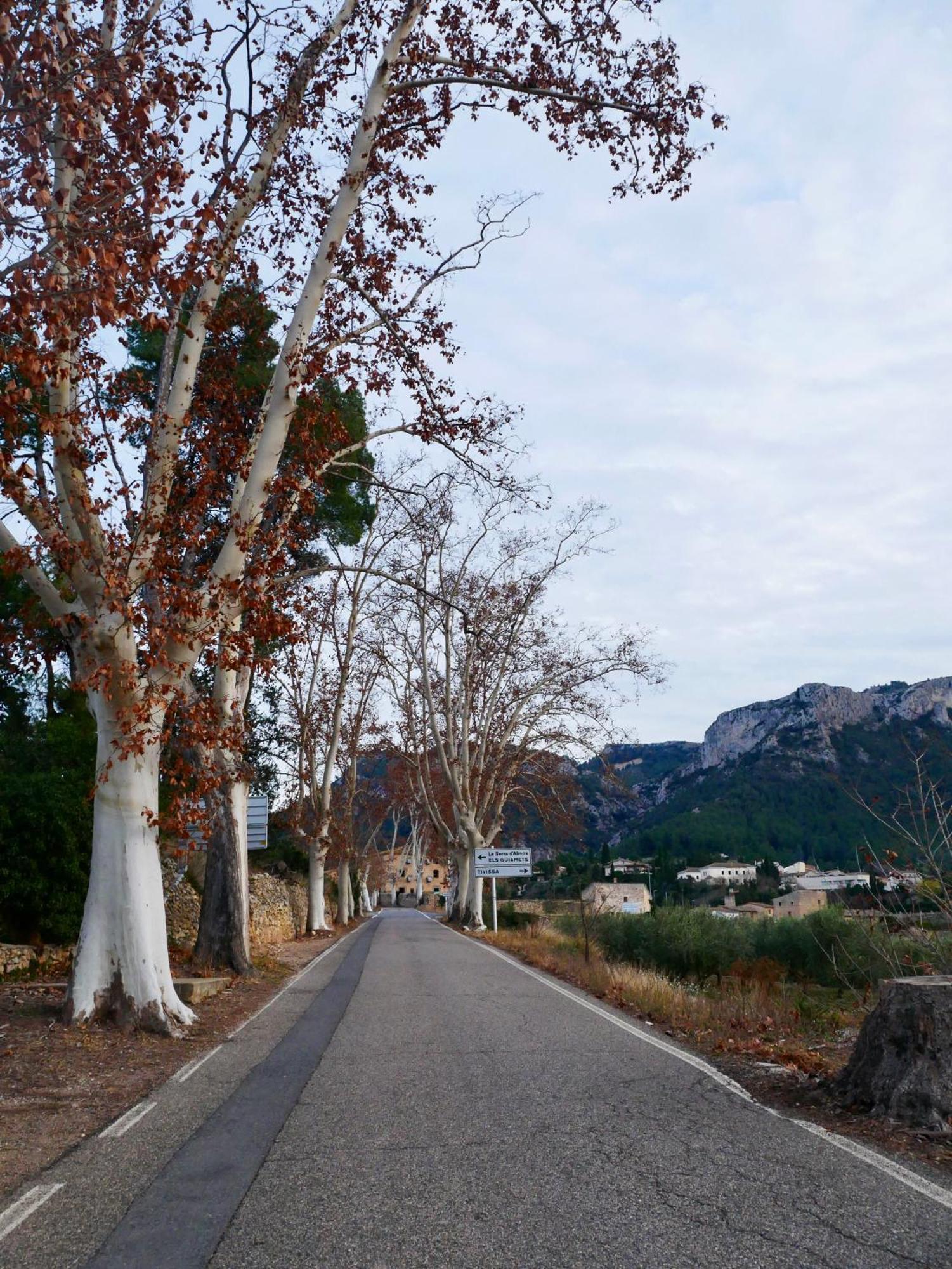 Apartament Rural Monetze Tivissa Εξωτερικό φωτογραφία