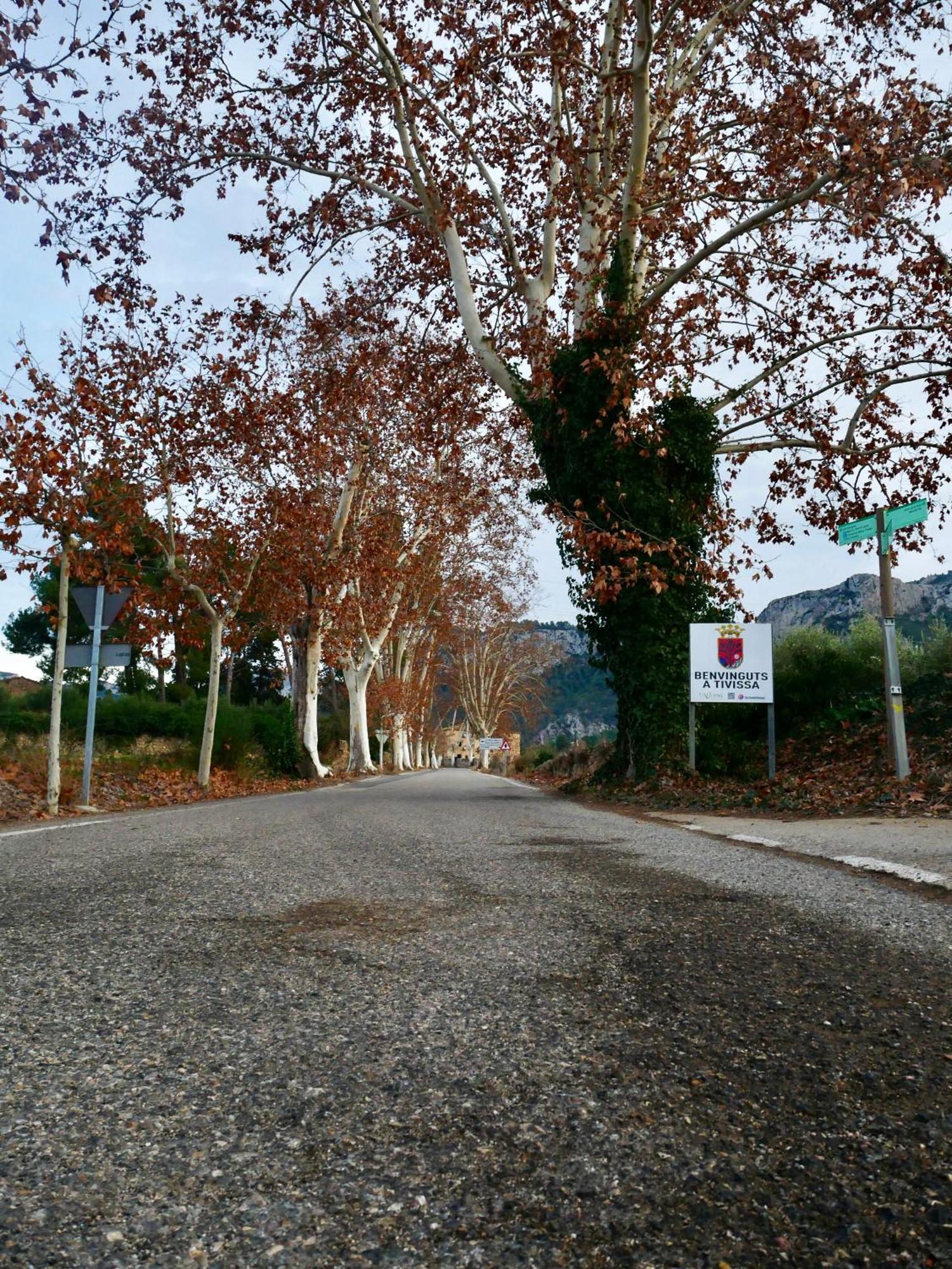 Apartament Rural Monetze Tivissa Εξωτερικό φωτογραφία